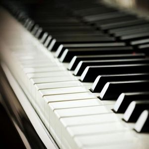 小马拉大车吃童子鸡外网网站
