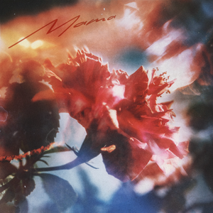 小马拉大车吃童子鸡外网网站
