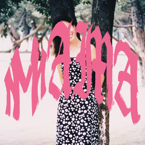 小马拉大车吃童子鸡外网网站
