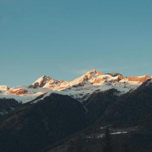 小马拉大车吃童子鸡外网网站
