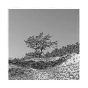 小马拉大车吃童子鸡外网网站
